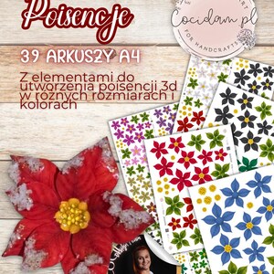 Op de afbeelding: Een digitale kunstprint met een grote rode poinsettia met een gele kern en witte accenten. De print bevat verschillende vellen kleurrijke poinsettia-ontwerpen in verschillende maten en kleuren, met de tekst "Poisencje" en "39 ARKUSZY A4".