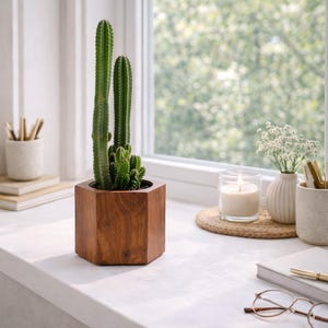 Könnte beinhalten: Ein grüner Kaktus in einem geometrischen Holztopf auf einer weißen Fensterbank. Der Kaktus hat mehrere hohe, schlanke Stiele. Weitere Dekorationen sind eine brennende Kerze, kleine weiße Blumen und Schreibutensilien.