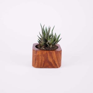 Small Rectangle Planter