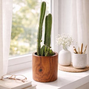 May include: A green cactus in a wooden pot is on a windowsill. Two small white vases, one with white flowers and the other with pencils, are nearby. A stack of books and glasses are in front. The pot is approximately 15 cm in diameter.