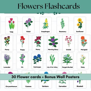 30 Flowers Flashcards | Montessori Nature Cards | Floral Learning Cards | Homeschool Printable | Toddler & Preschool Educational Cards
