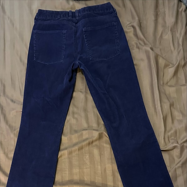 J. Crew Blue Corduroy Pants / Cool Blue Pants / Stylish early 2000s Blue Corduroy Pants in Great Condition