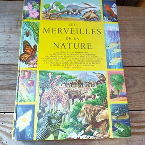 Colorful children&#39;s encyclopedia of nature and science, explore and learning book, vintage decor