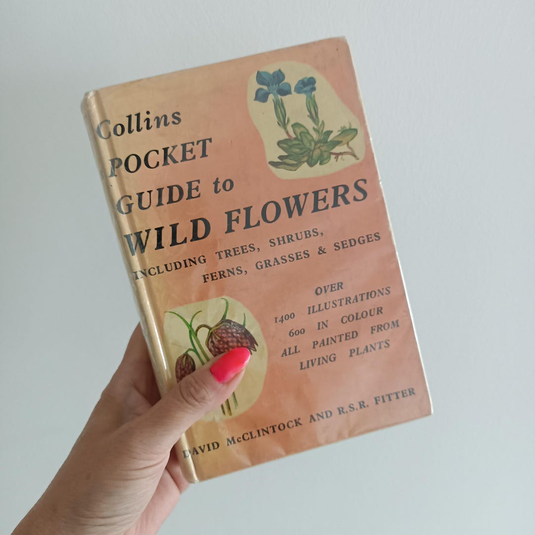 Old Nature Guide Pocket Guide to Wildflowers - Vintage Nature Guide - Etsy UK
