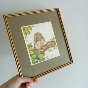 Vintage Owl Framed Print by Neil Cox | 1980s Little Owl Artwork | Gold Wood Frame | Retro Nature Wall Art | Bird Lover Gift | Home Decor
