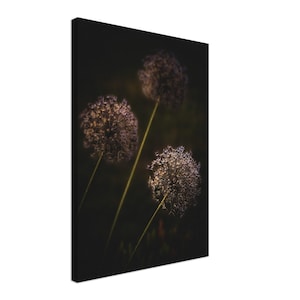 Purple Giant Allium (Onion) Flower Vintage Canvas Print