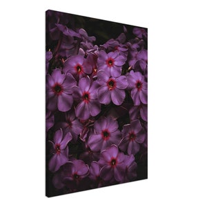 Purple Phlox Flower Dramatic Home Decor Canvas