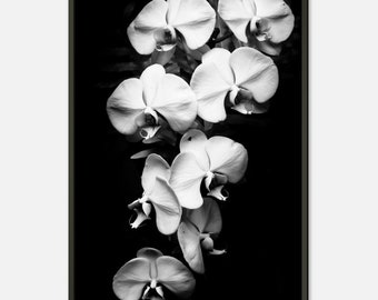 Orchid Flower Elegant Home Decor Framed Poster - Black and White