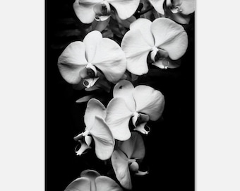 Orchid Flower Elegant Home Decor Canvas - Black and White