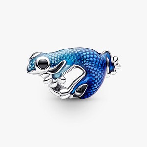 May include: A blue and silver frog charm. The frog features a textured, scale-like pattern in shades of blue and a silver frame. The charm has large, black eyes and is designed to be a pendant or bracelet charm.