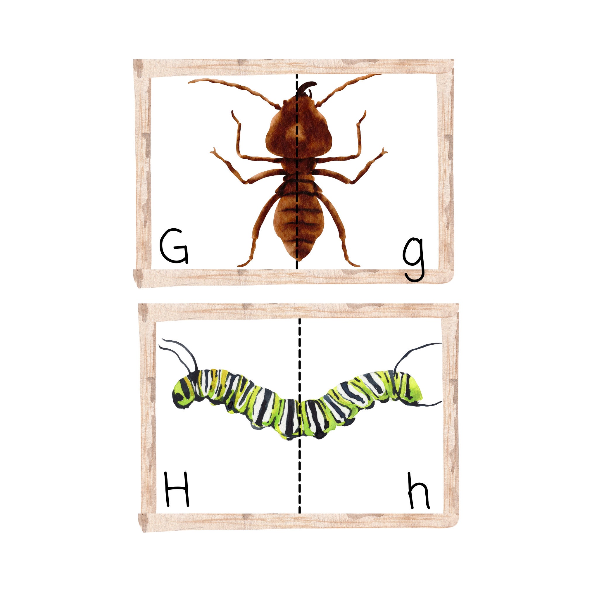 Insect Alphabet Flashcards Printable for Kids Alphabet Match letter