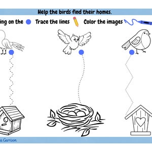 K&ouml;nnte beinhalten: Ein schwarz-wei&szlig;es Arbeitsblatt mit drei V&ouml;geln und ihren H&auml;usern. Die V&ouml;gel sind ein Papagei, eine Taube und ein Rotkehlchen. Die H&auml;user sind ein Vogelhaus, ein Nest und ein Vogelhaus mit einem Herzen. Das Arbeitsblatt fordert den Benutzer auf, die Linien nachzuzeichnen, um die V&ouml;gel mit ihren H&auml;usern zu verbinden, und die Bilder zu f&auml;rben.