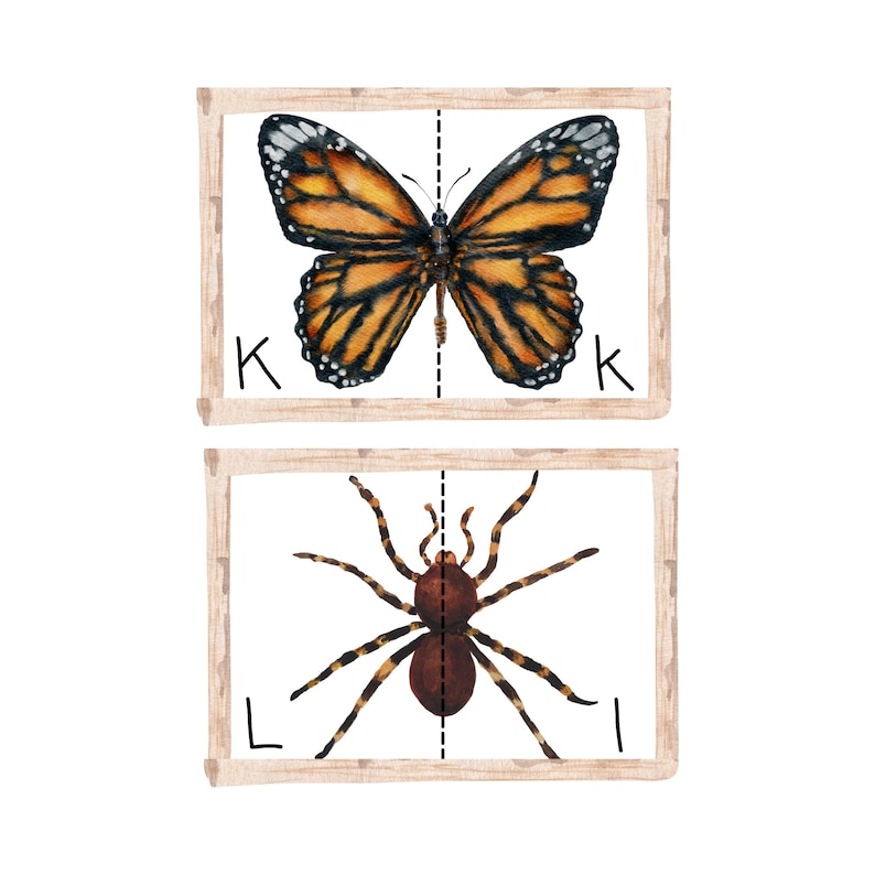 Insect Alphabet Flashcards Printable For Kids Alphabet Match letter Insect alphabet flashcards printable for kids alphabet match letter