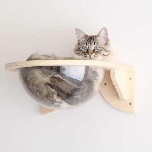 Wall mounted transparent cat bed | Wood cat hammock | Cat playground | Cat furniture