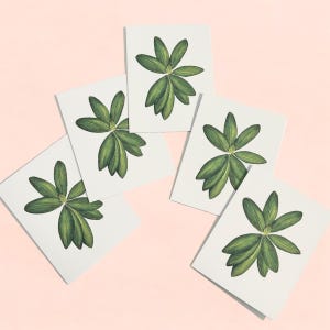 Botanische kaartenset van 5 | Blanco wenskaartpakket | Blanco plantenkaarten | Origineel kunstkaartenpakket