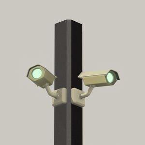 Puede incluir: Dos cámaras de seguridad beige montadas en un poste negro, con luces verdes iluminando las lentes.