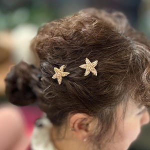Può includere: Una persona giovane con capelli castani raccolti in uno chignon e adornati con due fermagli dorati a forma di stella. La persona indossa un maglione bordeaux con colletto bianco.