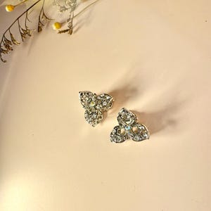 May include: A pair of silver-toned, floral-shaped stud earrings. Each earring features three rounded petals encrusted with clear, sparkling crystals. The earrings are set against a soft, peach-colored background, with dried floral accents.