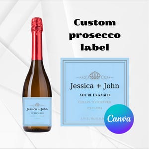 Personalised Prosecco Champagne Wine Digital Label Sticker perfect Gift for Birthday Anniversary Funny Novelty