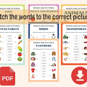 Desarrollo del lenguaje infantil, cuaderno de desarrollo cognitivo, cuaderno interactivo para niños, educación infantil, aprender inglés