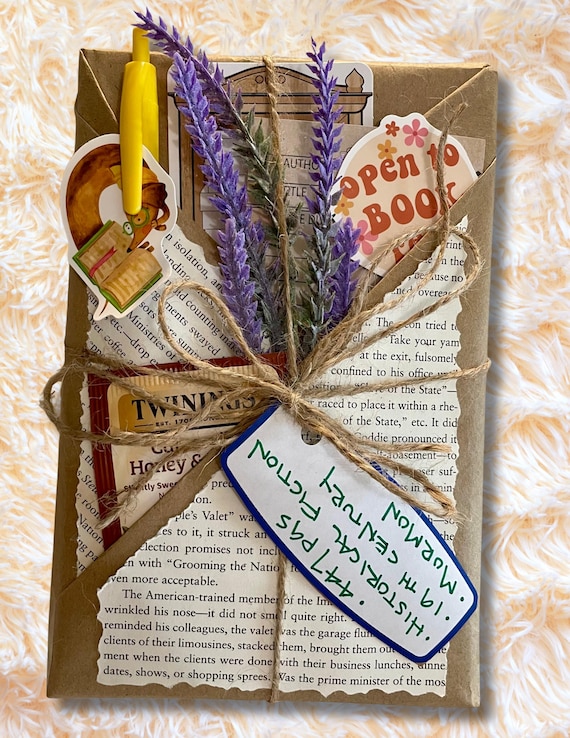 Blind Date With A Book Paperback Surprise Title | Gift for Book Lovers | Aesthetic Bookish Fun | Historical Fiction | Free Shipping