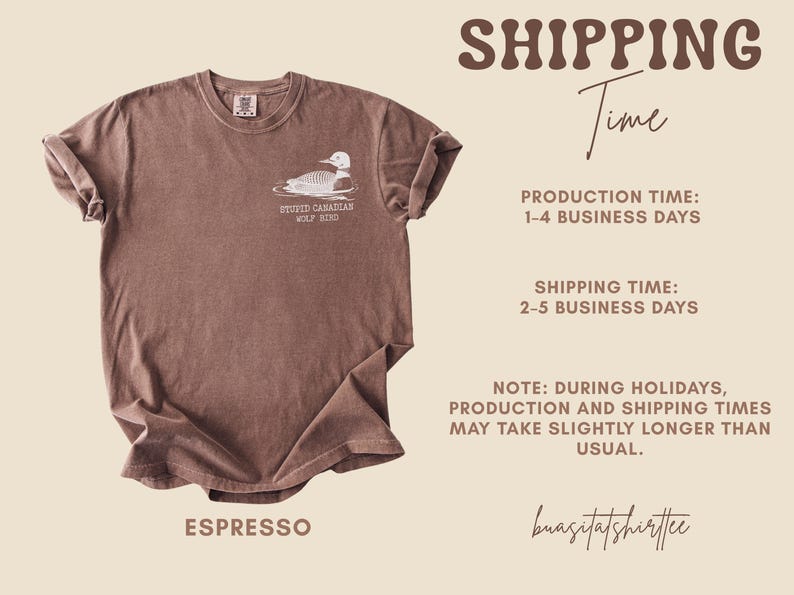 May include: Espresso-colored t-shirt featuring a graphic of a loon with the text "STUPID CANADIAN WOLF BIRD." The shirt has a crew neck and short sleeves. The shirt is made of a soft material.