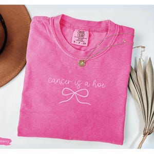 May include: A bright pink t-shirt with the text "cancer is a hoe" and a bow graphic. The shirt is a Comfort Colors brand. A gold necklace and a brown hat are next to the shirt. Dried decorative plants are on the right.