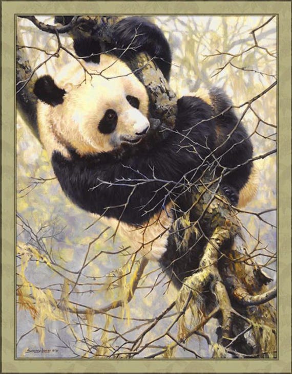 Panda Trilogy Fabric Panel – 36” by John Seerey-Lester - Q12