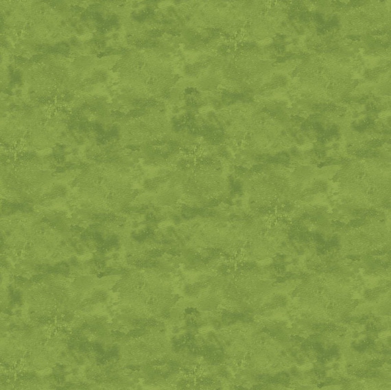 Northcott Studio Toscana 9020-731 Aloe Vera