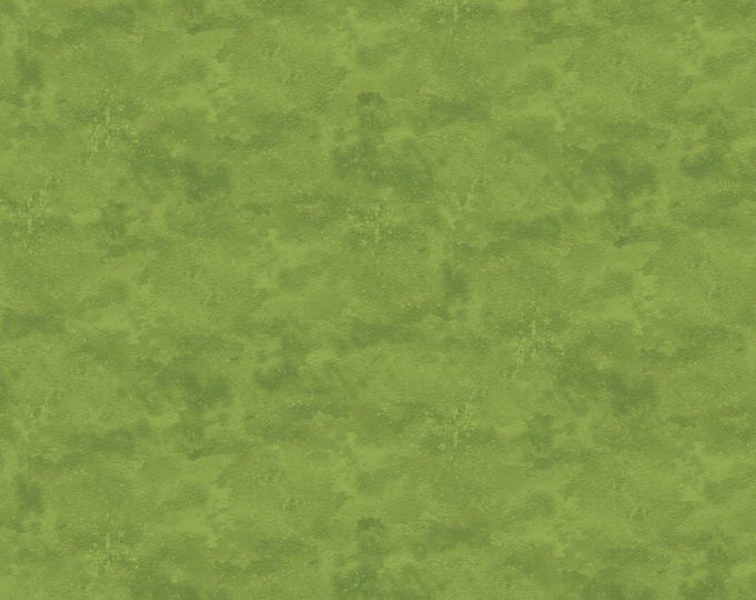 Northcott Studio Toscana 9020-731 Aloe Vera