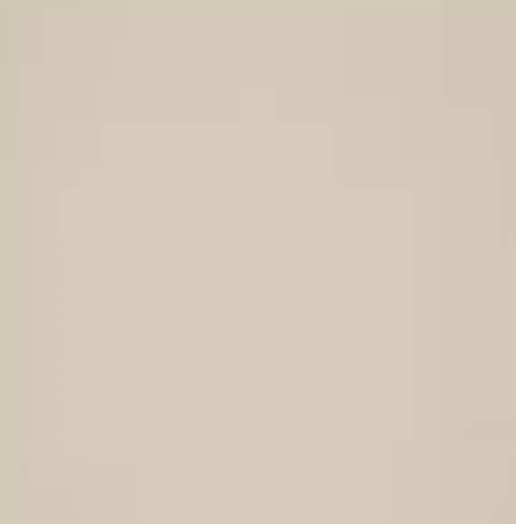 BOMULL 100% Cotton Fabric