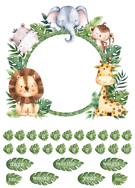 Wee Safari Milestone Panel By Deborah Edwards Northcott Studio