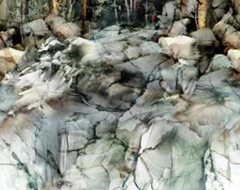 Lone Wolf, 108" Wide Fabric, by Northcott Fabric B27182-66