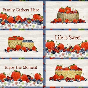 Placemat Panel PD12410 by Riley Blake Designs