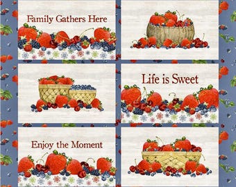 Placemat Panel PD12410 by Riley Blake Designs