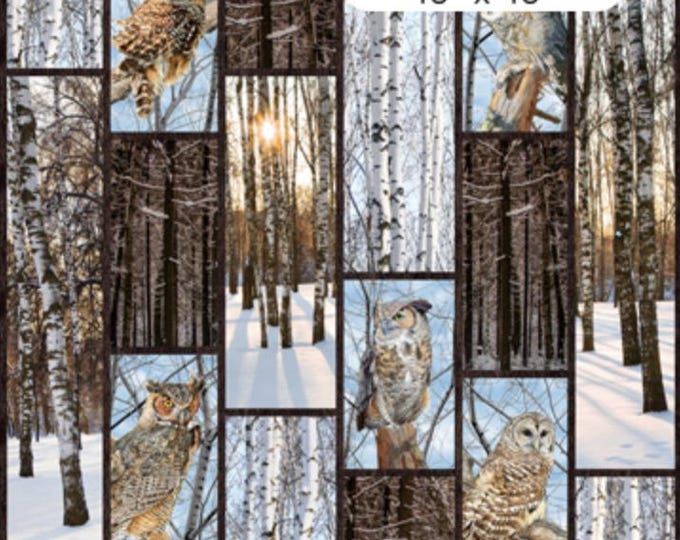 Naturescapes Solitude 26770-38 dark brown multi panel by David Kiehm for Northcott