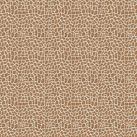 Northcott Wild One Fabric 27692-34 - Etsy