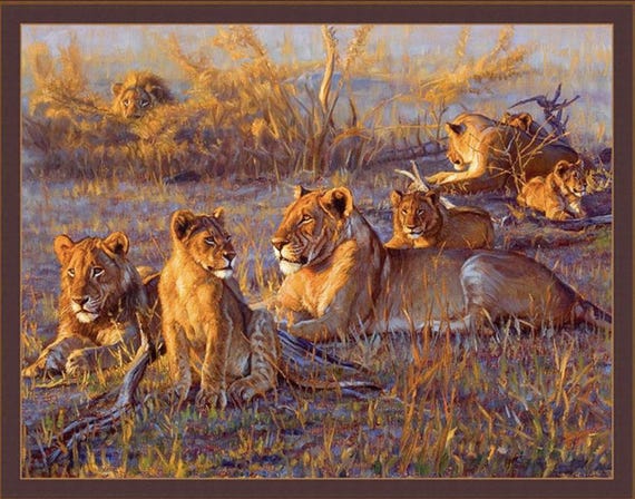 Afterglow Lion Fabric Panel – 36” by John Banovich - Q14