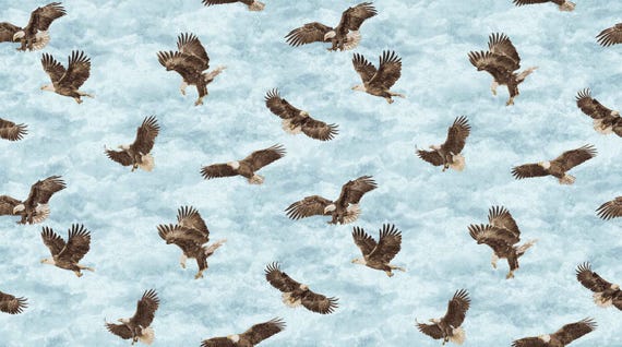 Eagle Pass – Stonehenge Collection by Northcott 27675-42