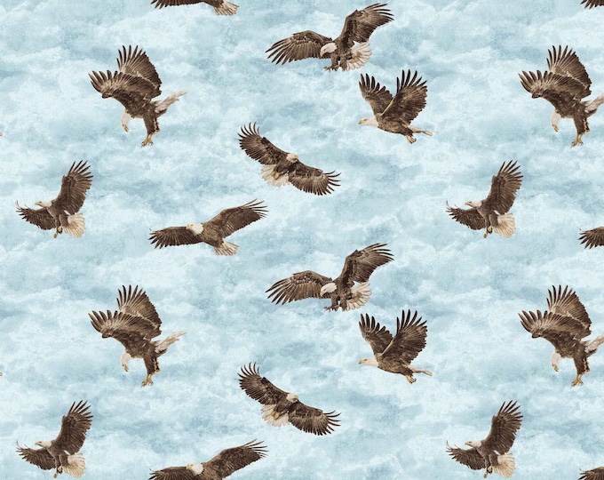 Eagle Pass – Stonehenge Collection by Northcott 27675-42