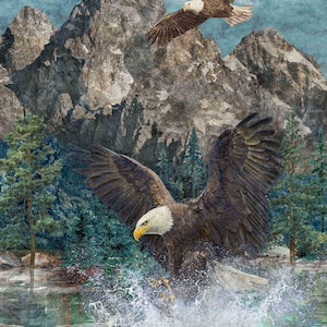 Eagle Pass – Stonehenge-collectie van Northcott DP27670-44