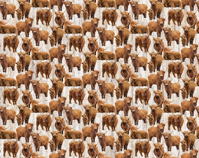 Northcott Fabrics – Highland Home DP28690-12