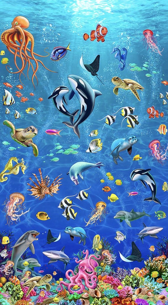 Sea World – Discovery Cove Ocean Panel in Turquoise Q10