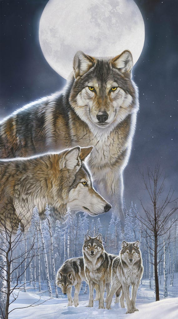 Northcott – Wild at Heart Fabric Collection DP28190-46