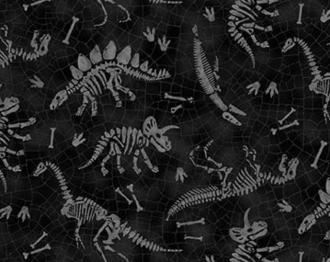 Northcott Paleo Tales Dinosaur-Themed Fabric Collection 26786-99