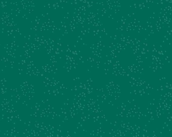 Clothworks Y4644-22 - Little Boy Blue Fabric