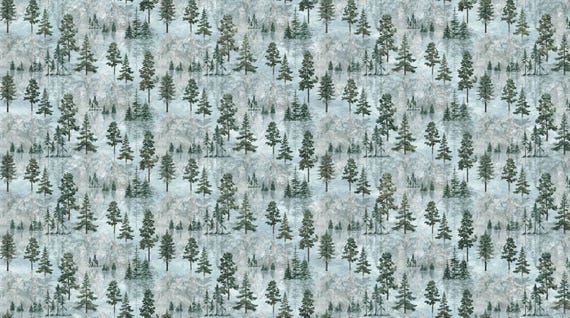 Eagle Pass – Stonehenge Collection by Northcott 27674-42