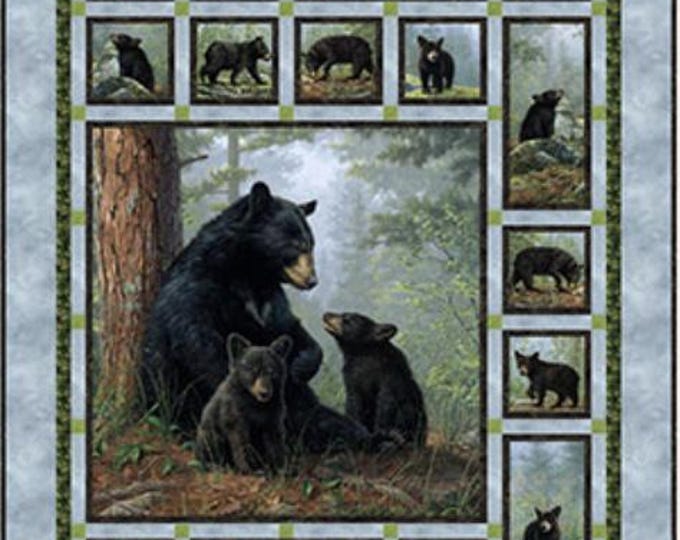 Northcott Bear Hugs Lap Quilt Kit – Designed by Patti Carey (PC-317)