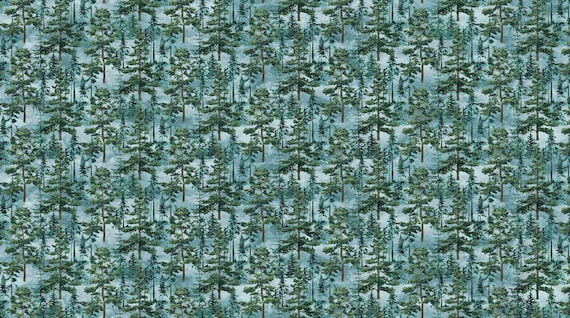 Eagle Pass – Stonehenge Collection by Northcott 27673-44