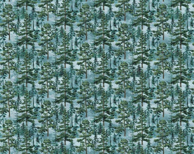 Eagle Pass – Stonehenge Collection by Northcott 27673-44